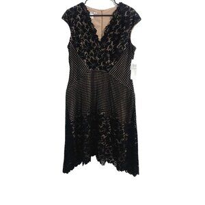 Maggy London Women's Grid Flower Border Lace Dress, Black, 12